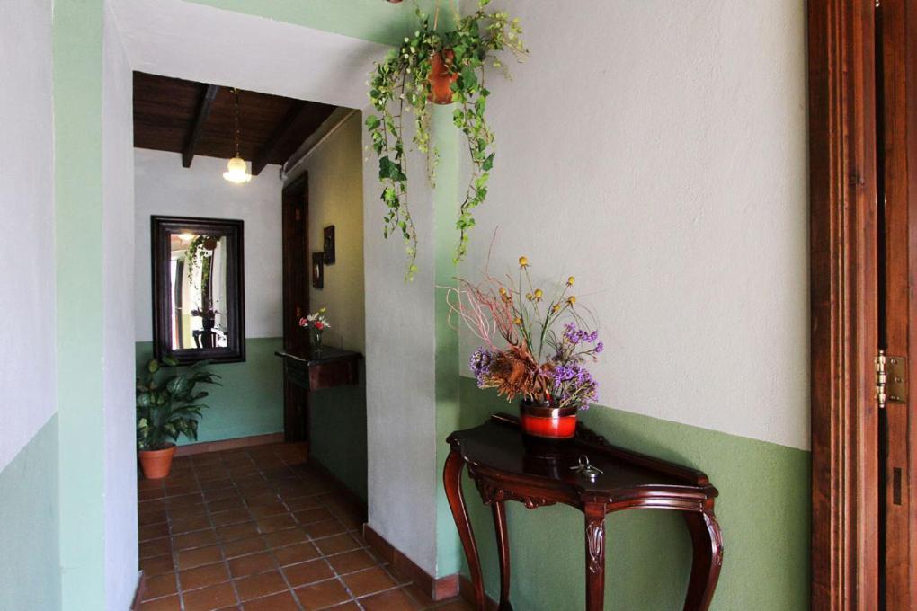 Casa Rural Los Aromos - Wunderschones Landhaus Mit Meerblick Hermigua Kültér fotó