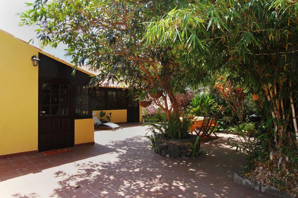 Casa Rural Los Aromos - Wunderschones Landhaus Mit Meerblick Hermigua Kültér fotó